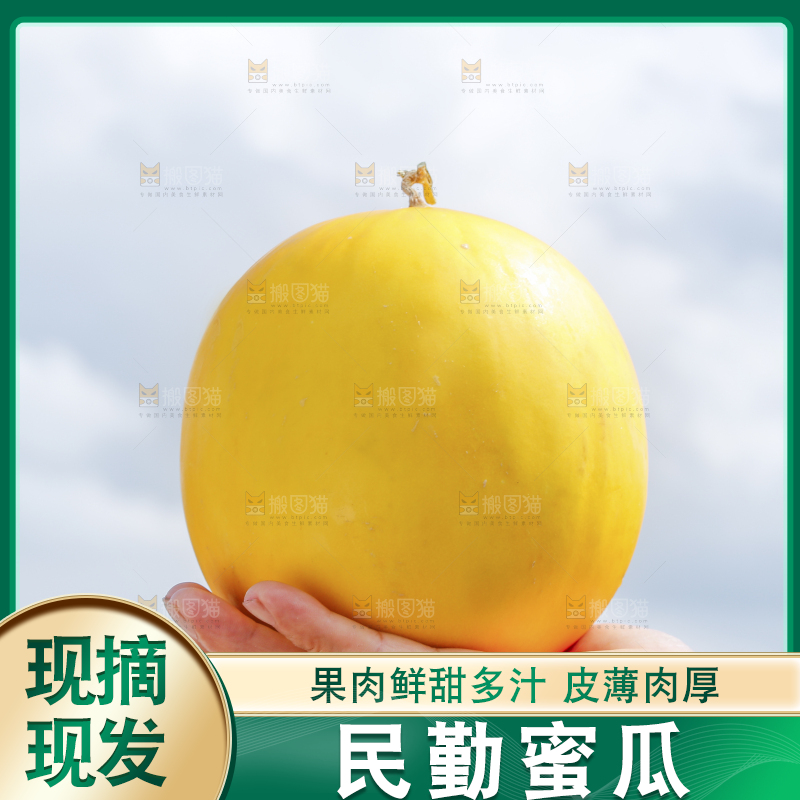 手里拿着民勤蜜瓜