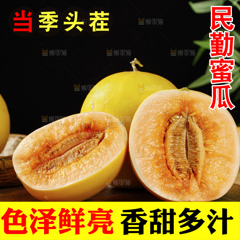 木底上的黄河蜜瓜