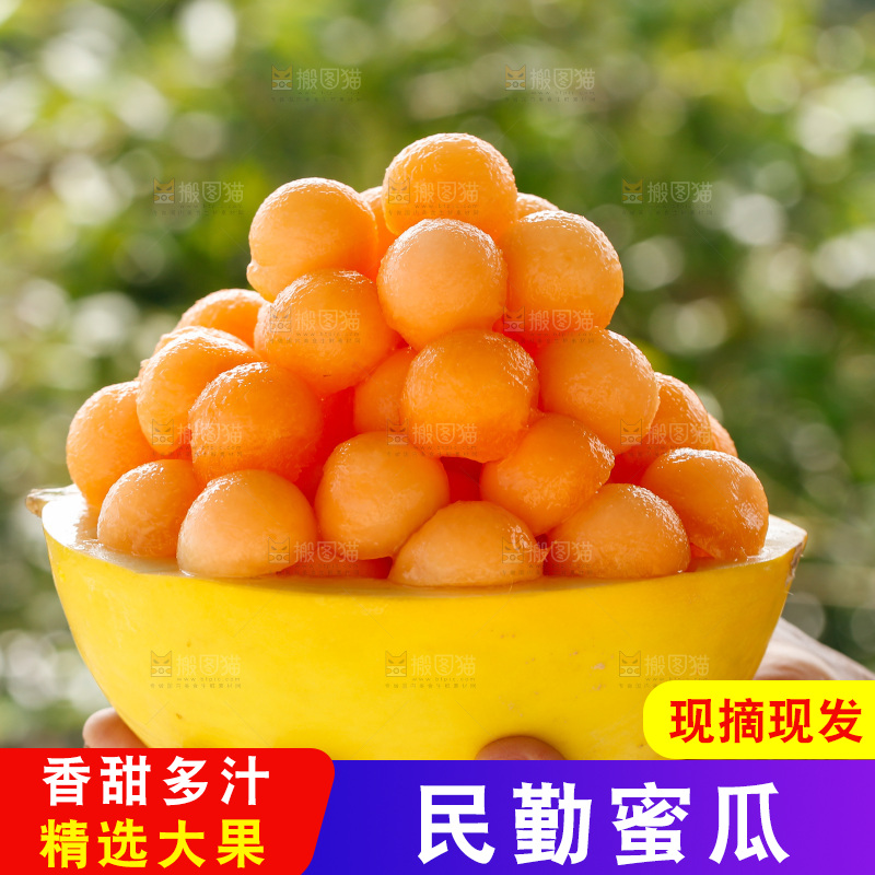 黄河蜜瓜主图