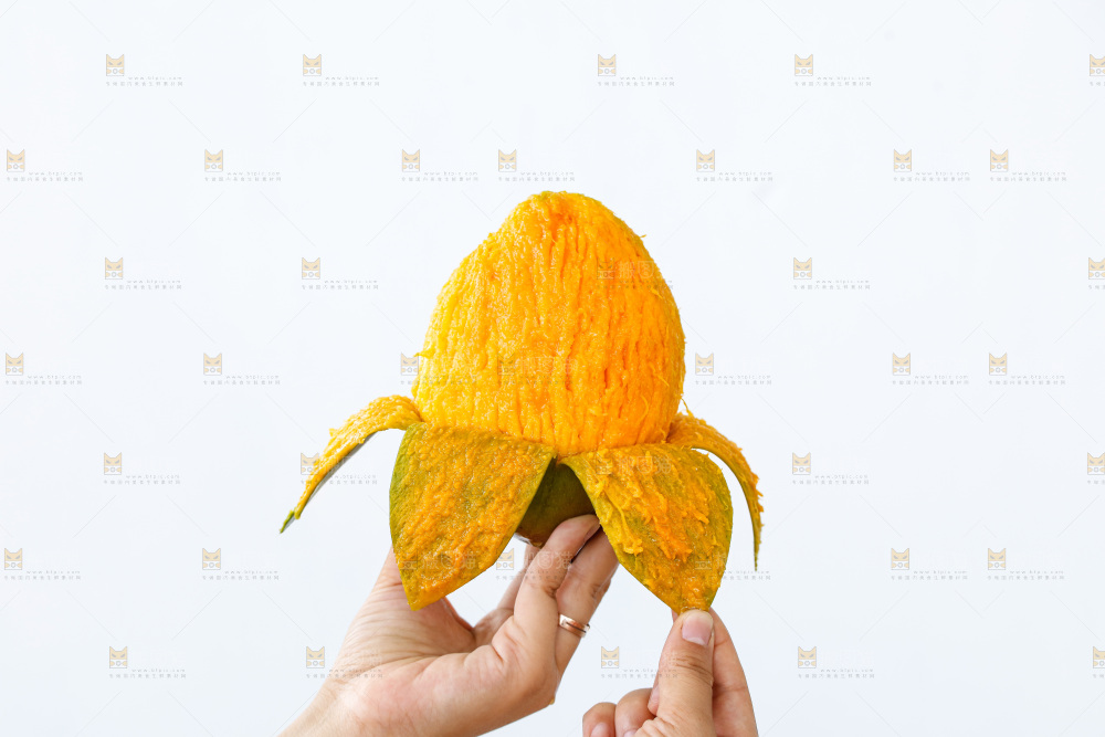 手里拿着凯特芒