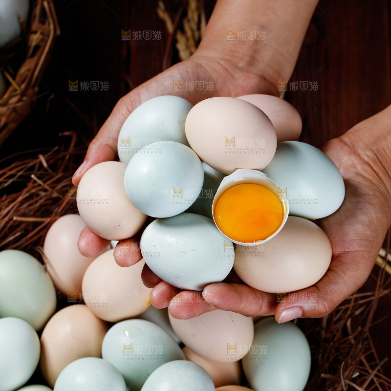木底上的绿壳鸡蛋