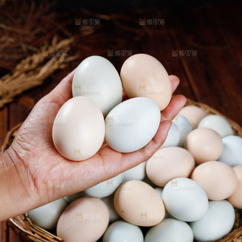 木底上的绿壳鸡蛋
