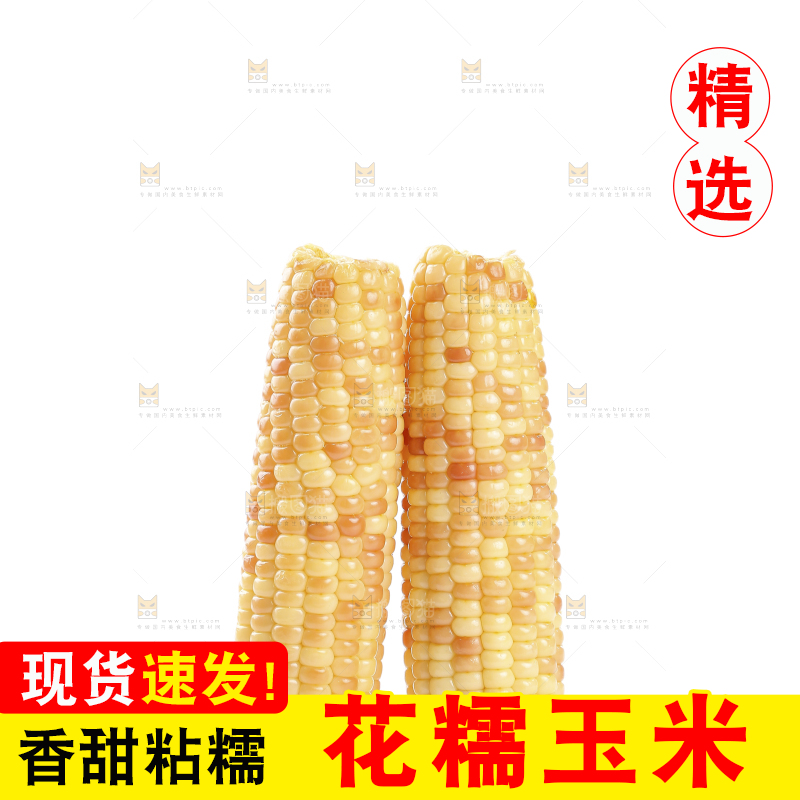 白底上的花糯玉米