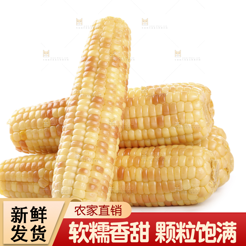 白底上的花糯玉米