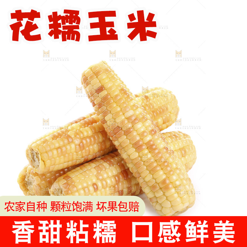 白底上的花糯玉米