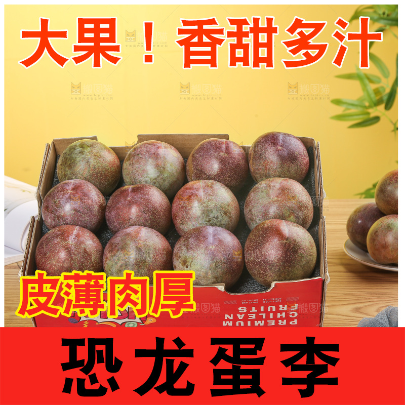 木底上的恐龙蛋