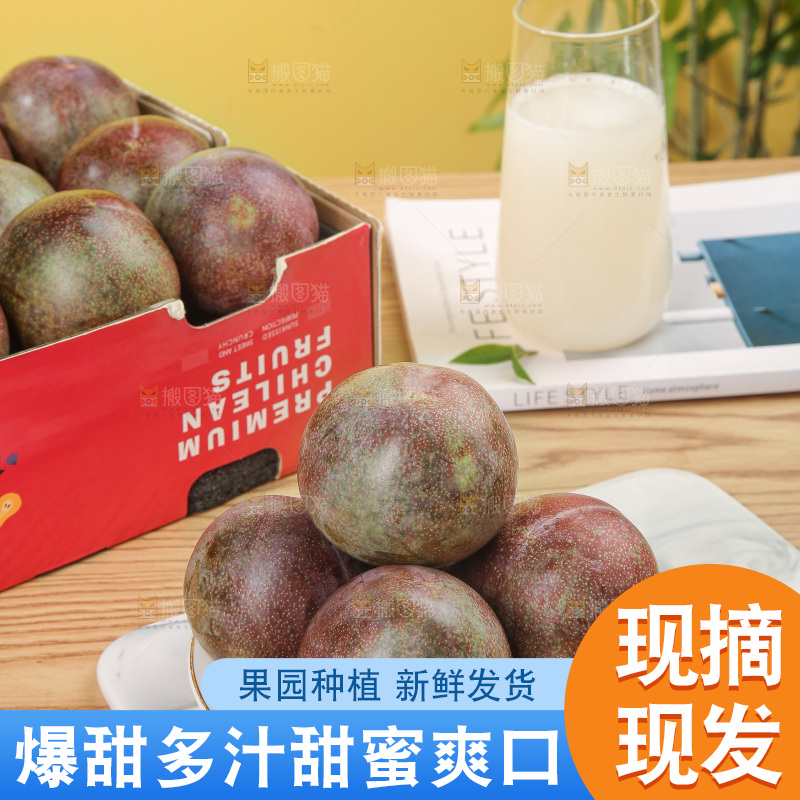 木底上的恐龙蛋