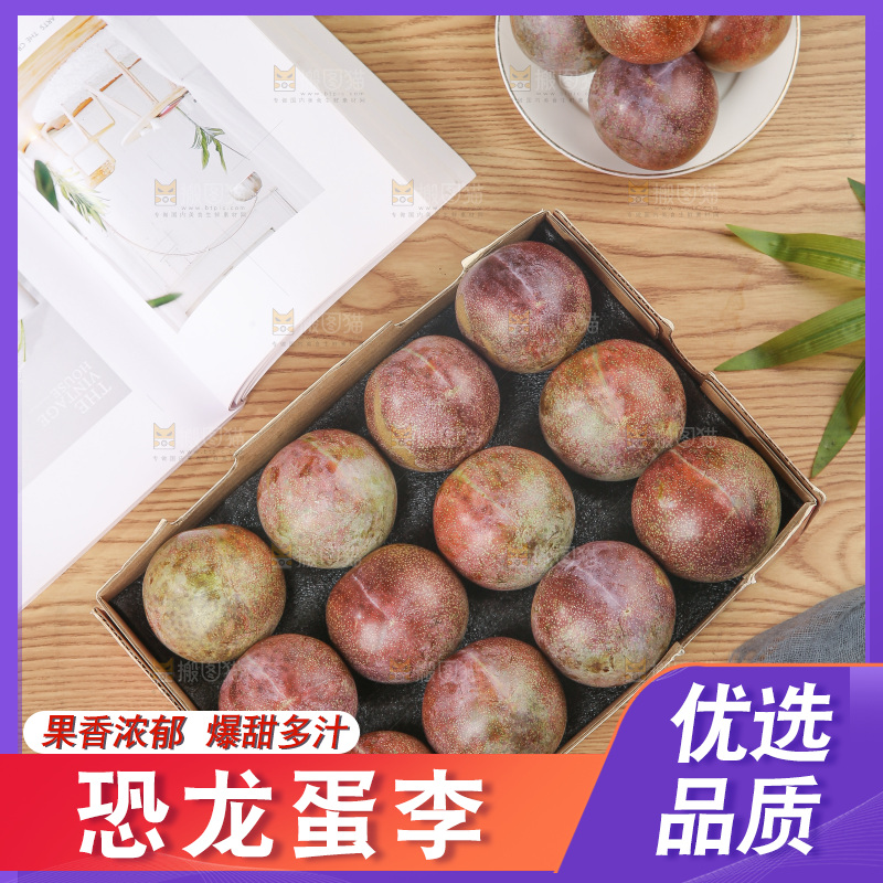 木底上的恐龙蛋