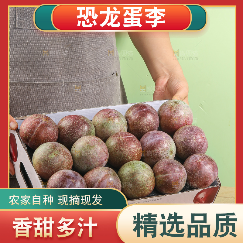 木底上的恐龙蛋