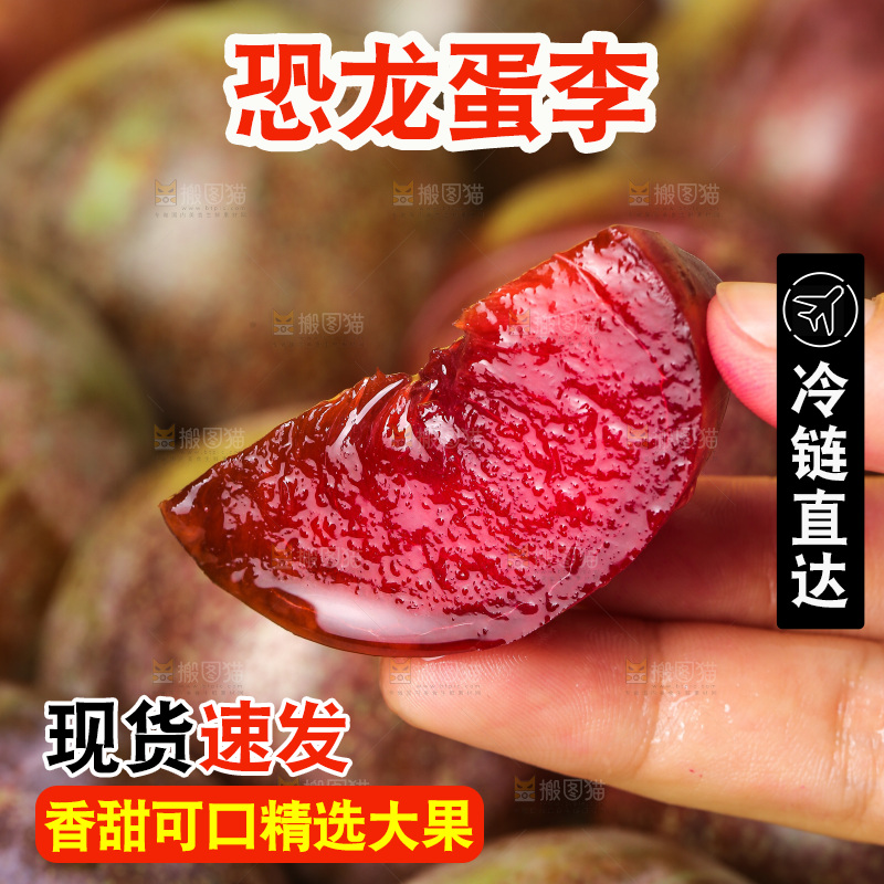 木底上的恐龙蛋