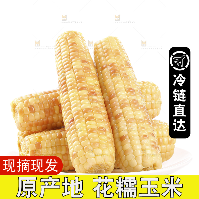白底上的花糯玉米