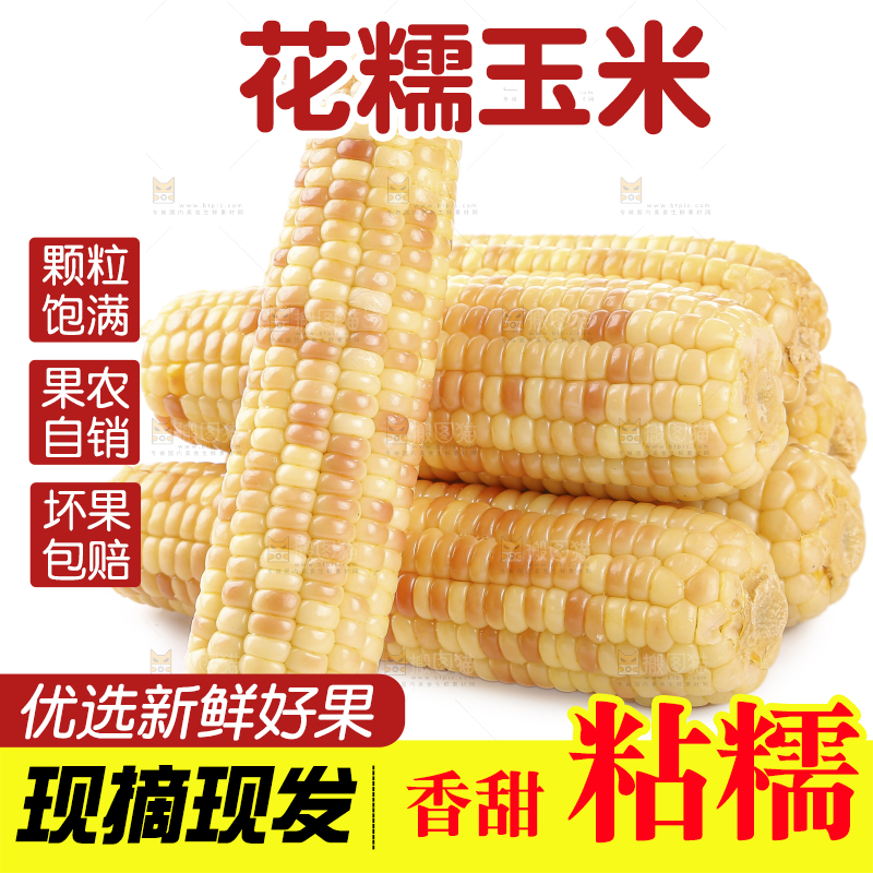 白底上的花糯玉米