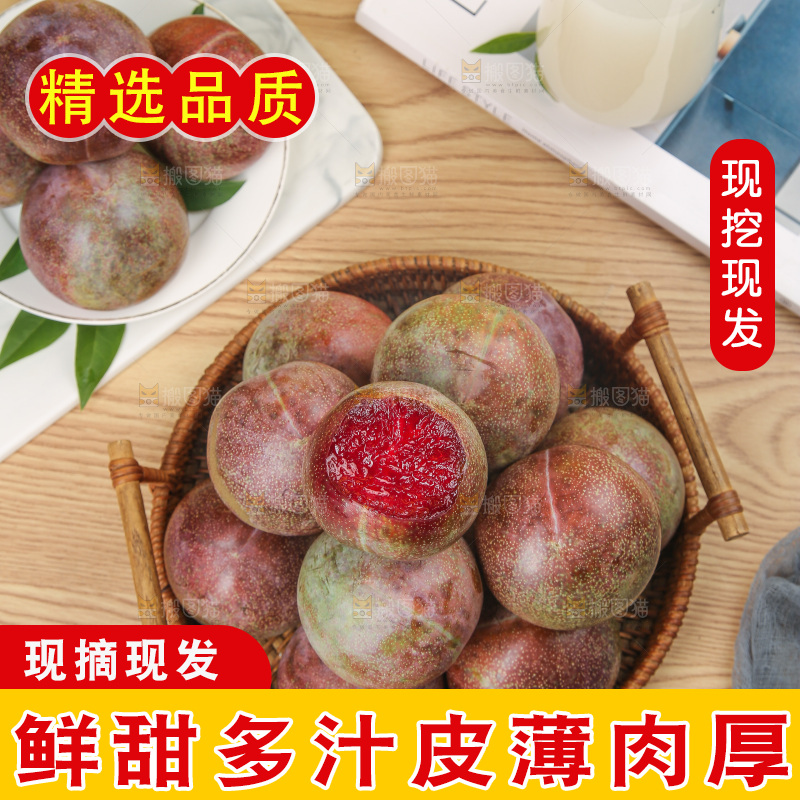 木底上的恐龙蛋
