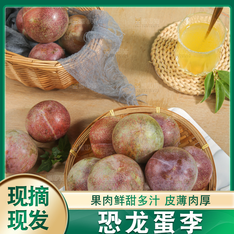 木底上的恐龙蛋