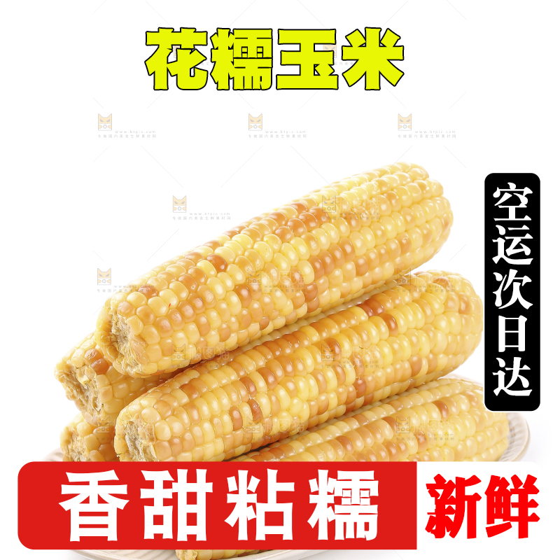 白底上的花糯玉米
