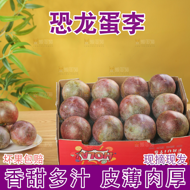 木底上的恐龙蛋