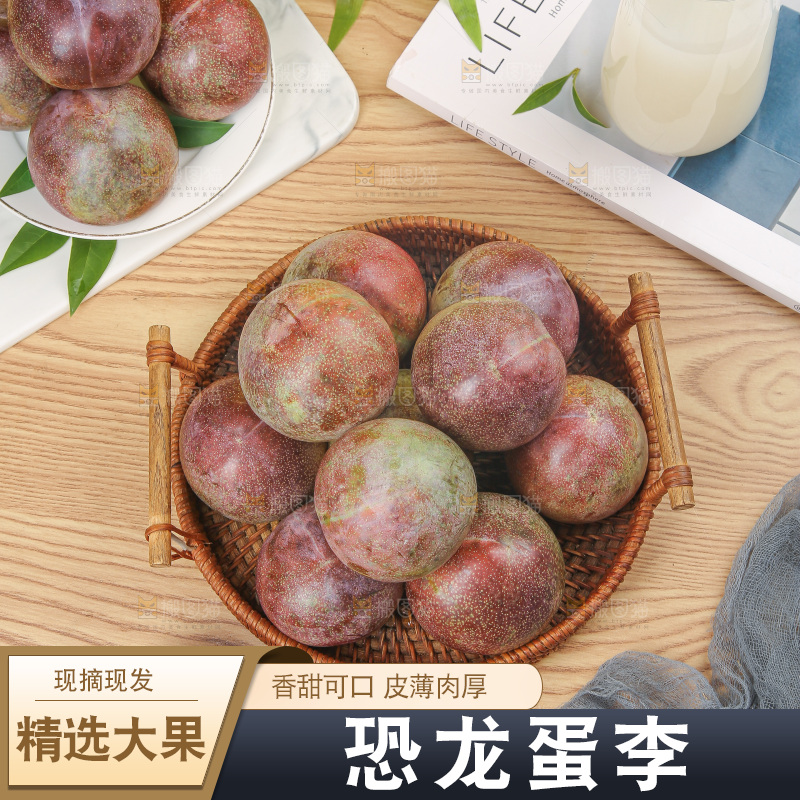 木底上的恐龙蛋
