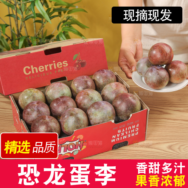 木底上的恐龙蛋
