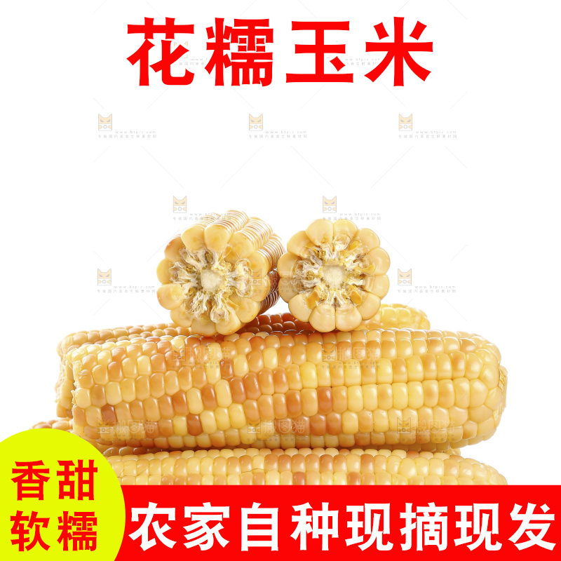 白底上的花糯玉米
