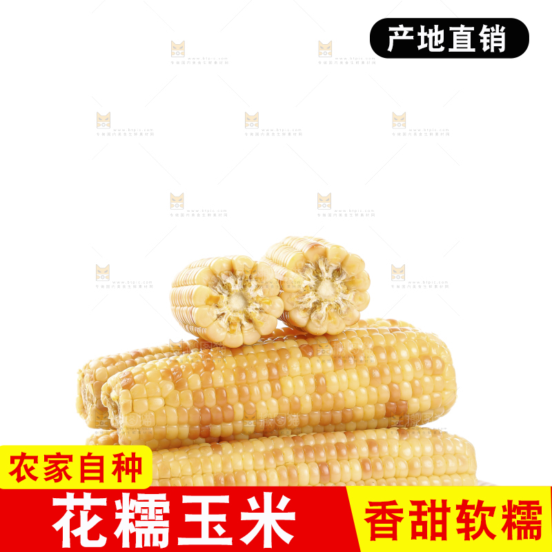 白底上的花糯玉米