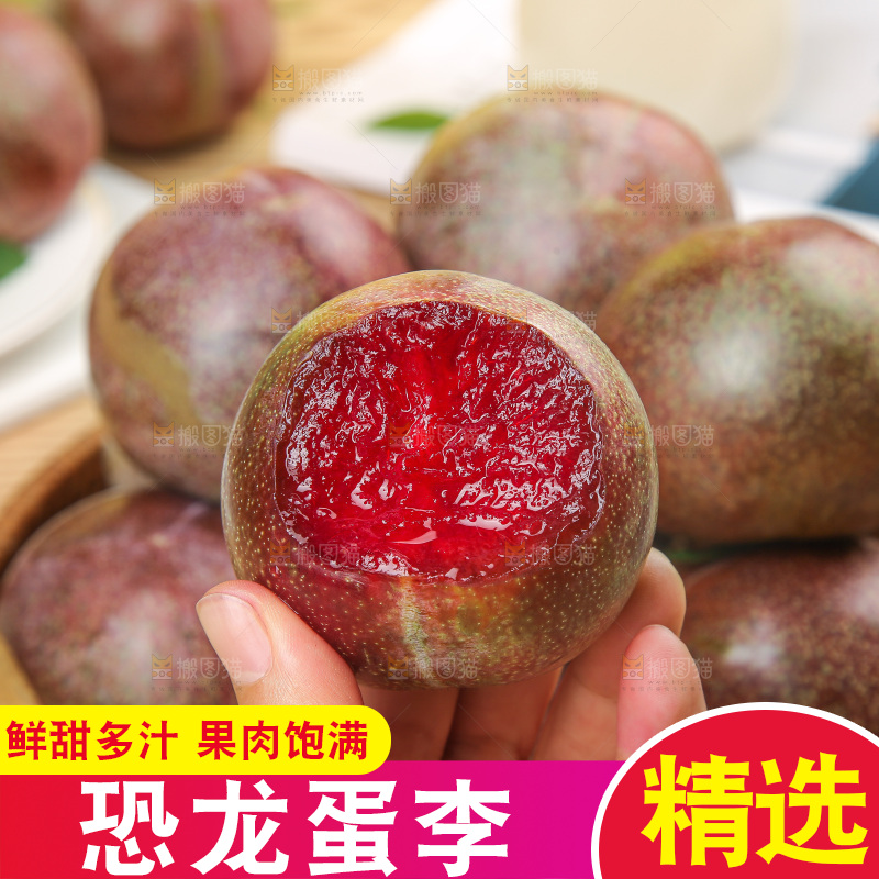 木底上的恐龙蛋