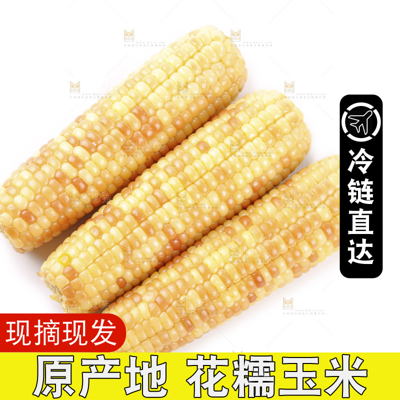 白底上的花糯玉米