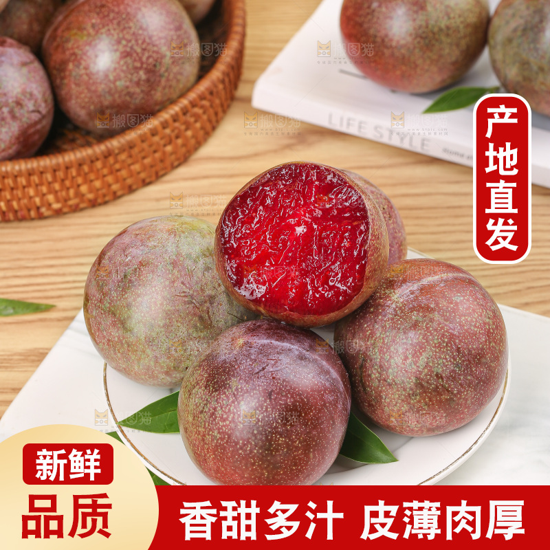 恐龙蛋李主图