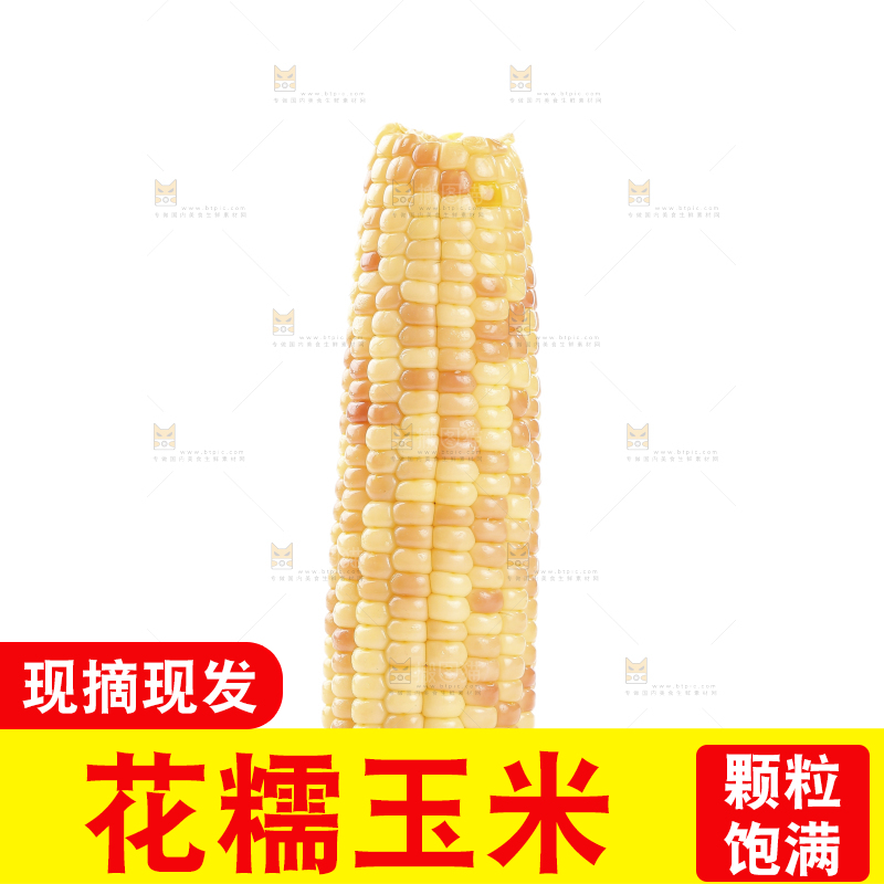 白底上的花糯玉米
