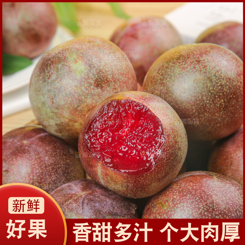 木底上的恐龙蛋