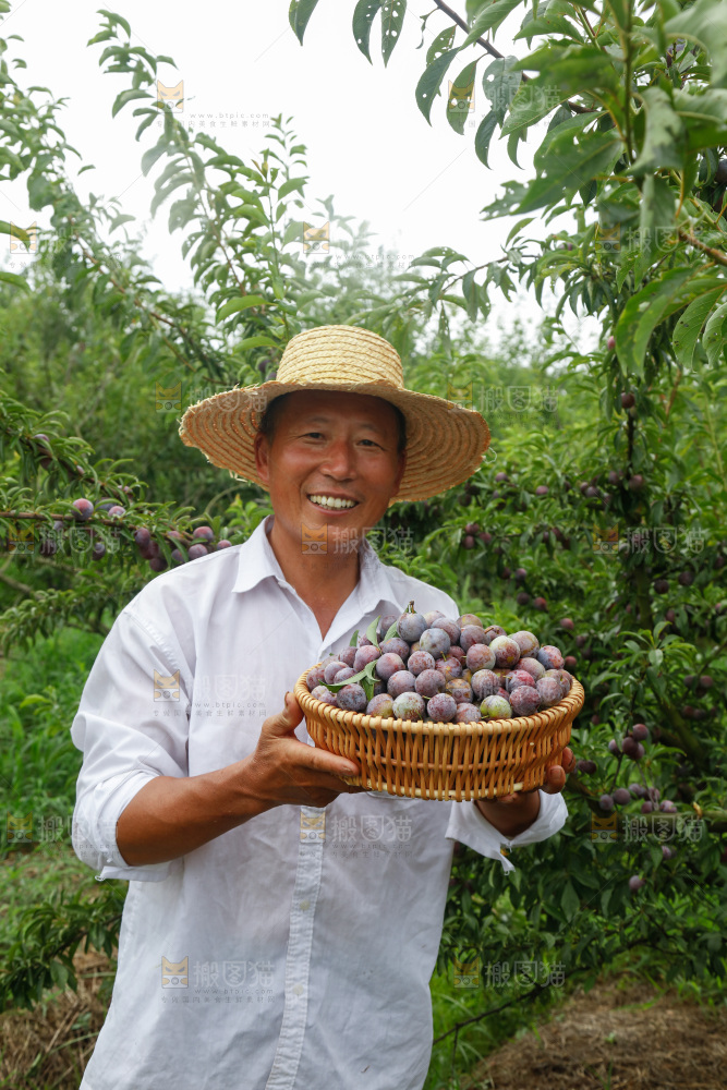 手里拿着红脆脱骨李