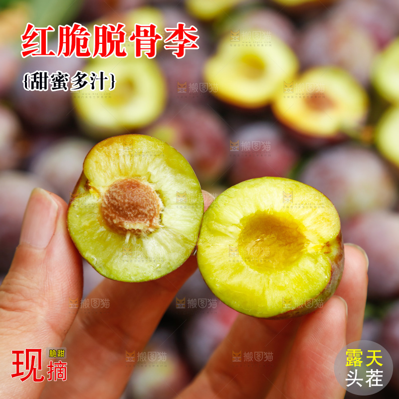地上的现摘红脆李