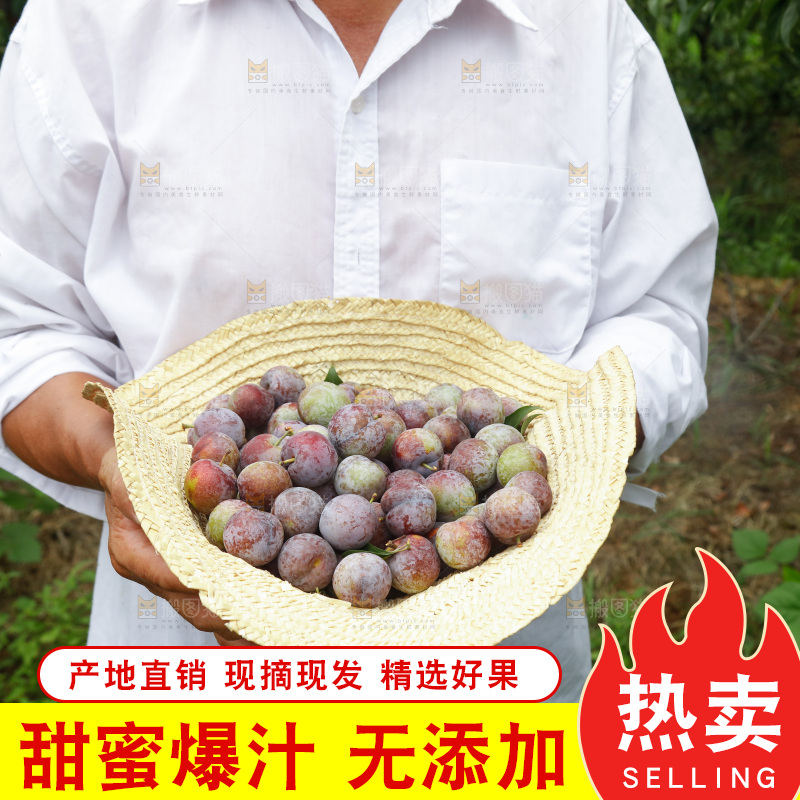 手里拿着红脆脱骨李