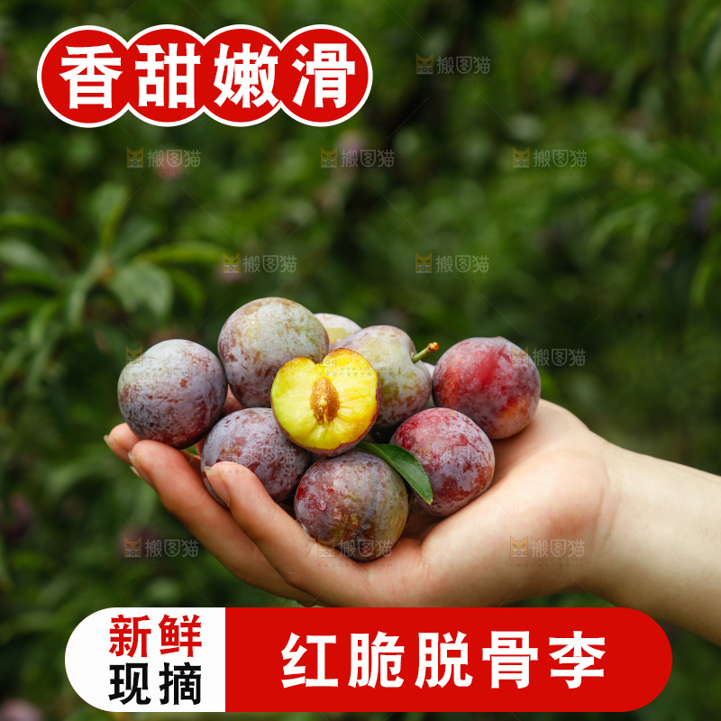 手里拿着红脆脱骨李