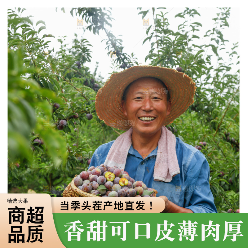 手里拿着红脆脱骨李