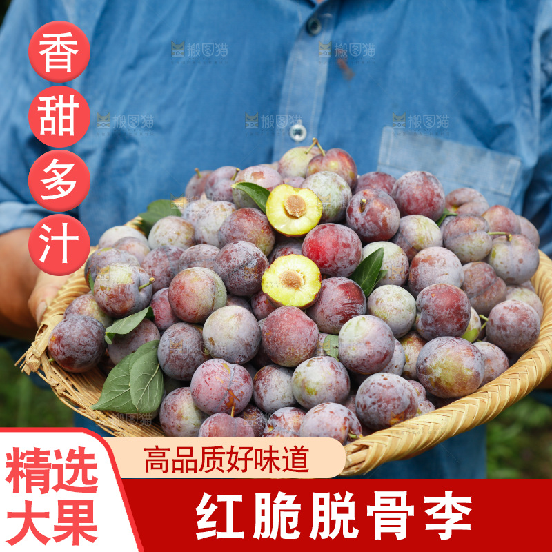 手里拿着红脆脱骨李