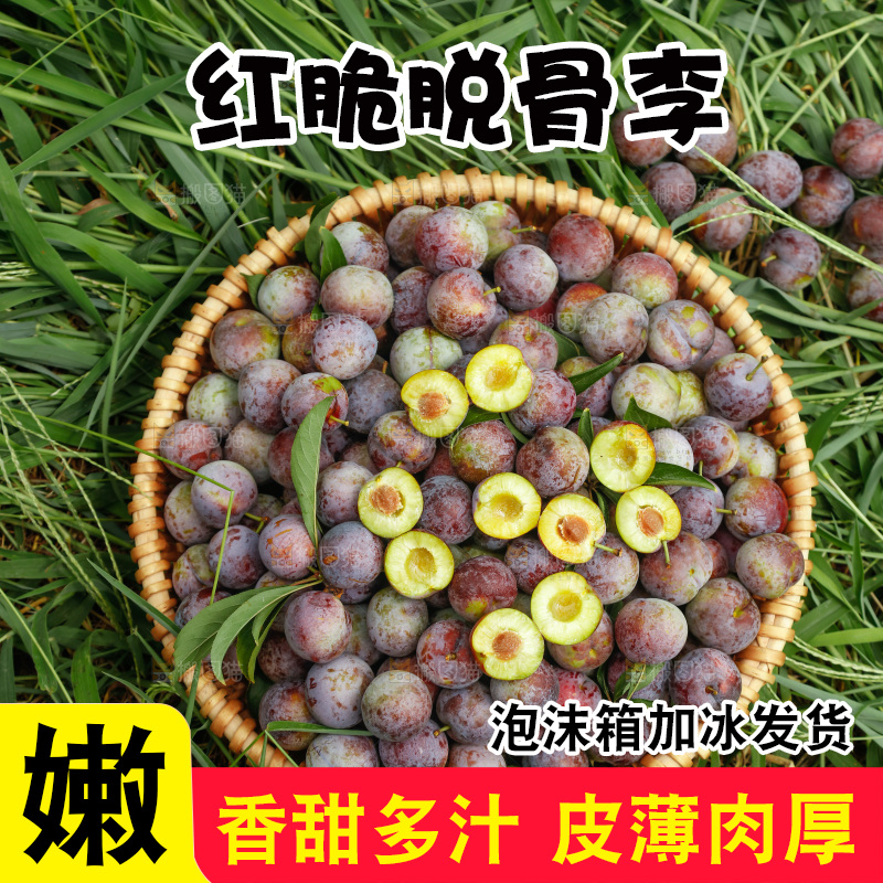 地上的现摘红脆李