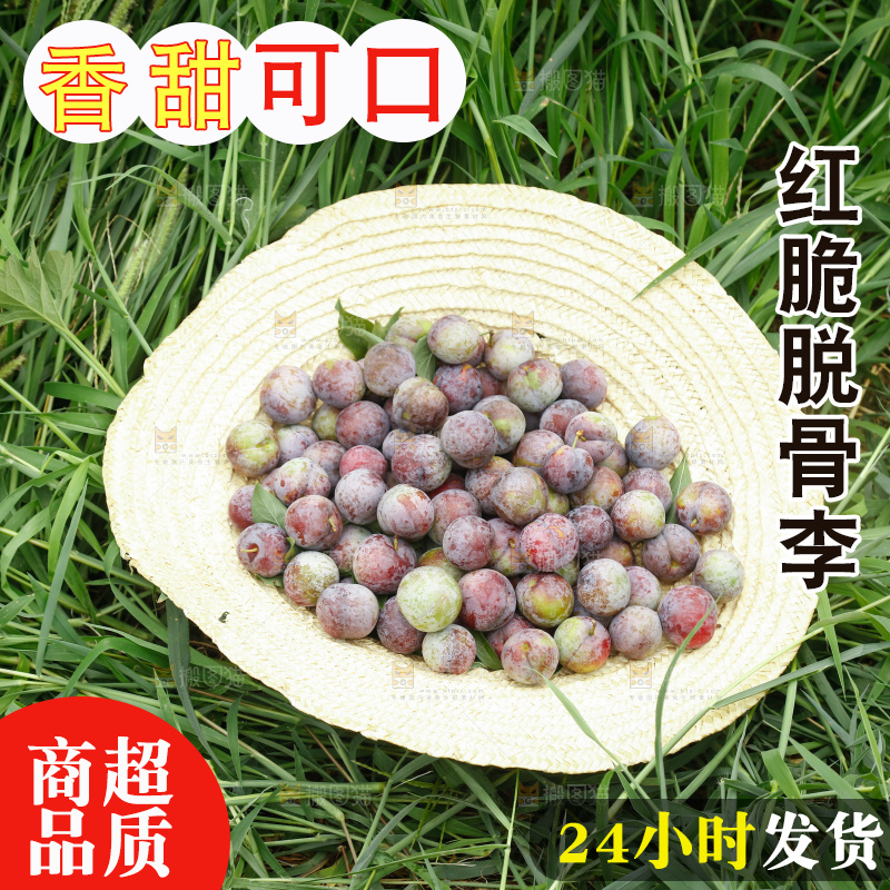 手里拿着红脆脱骨李