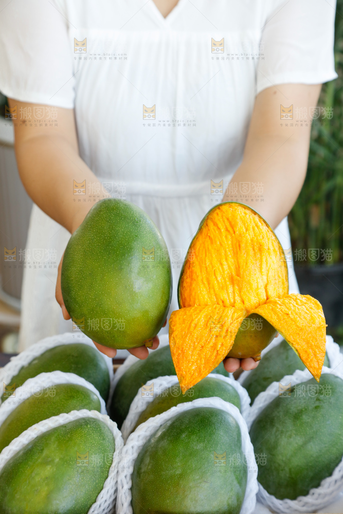 手里拿着凯特芒