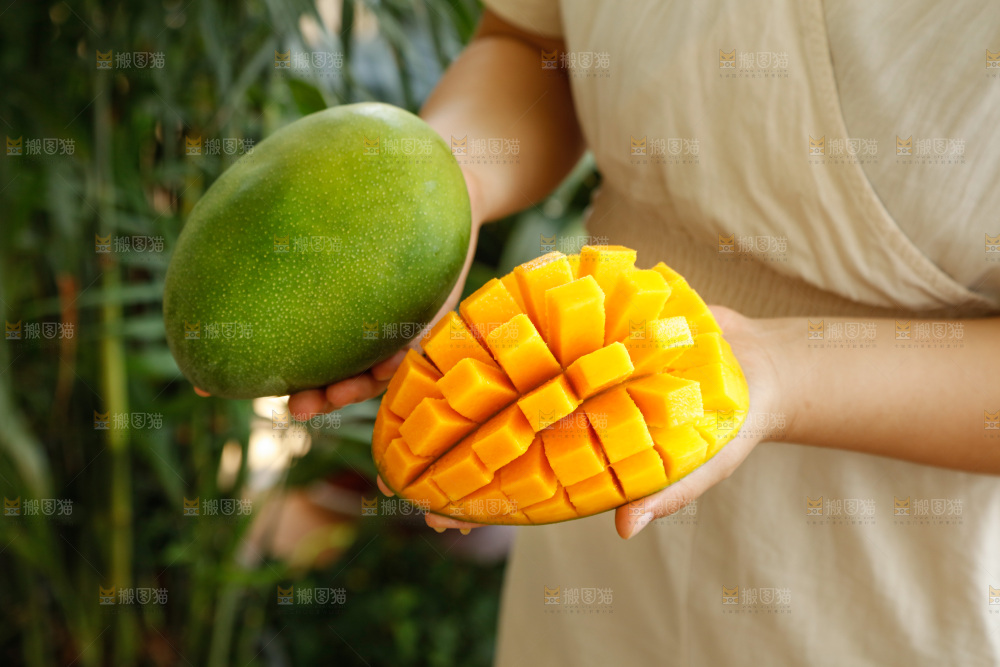 手里拿着凯特芒
