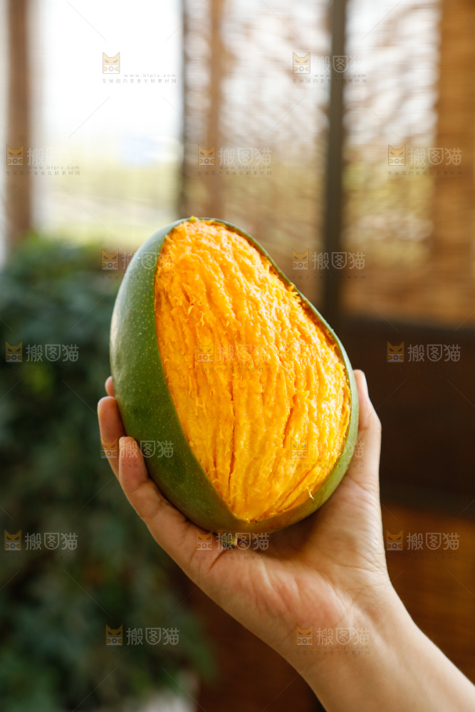 手里拿着凯特芒