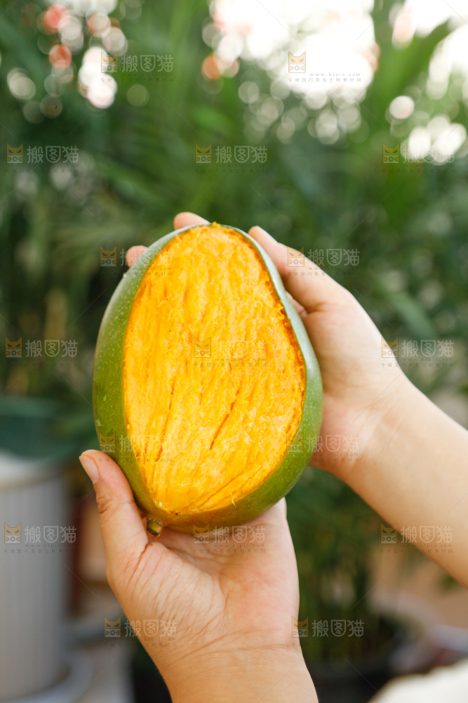 手里拿着凯特芒