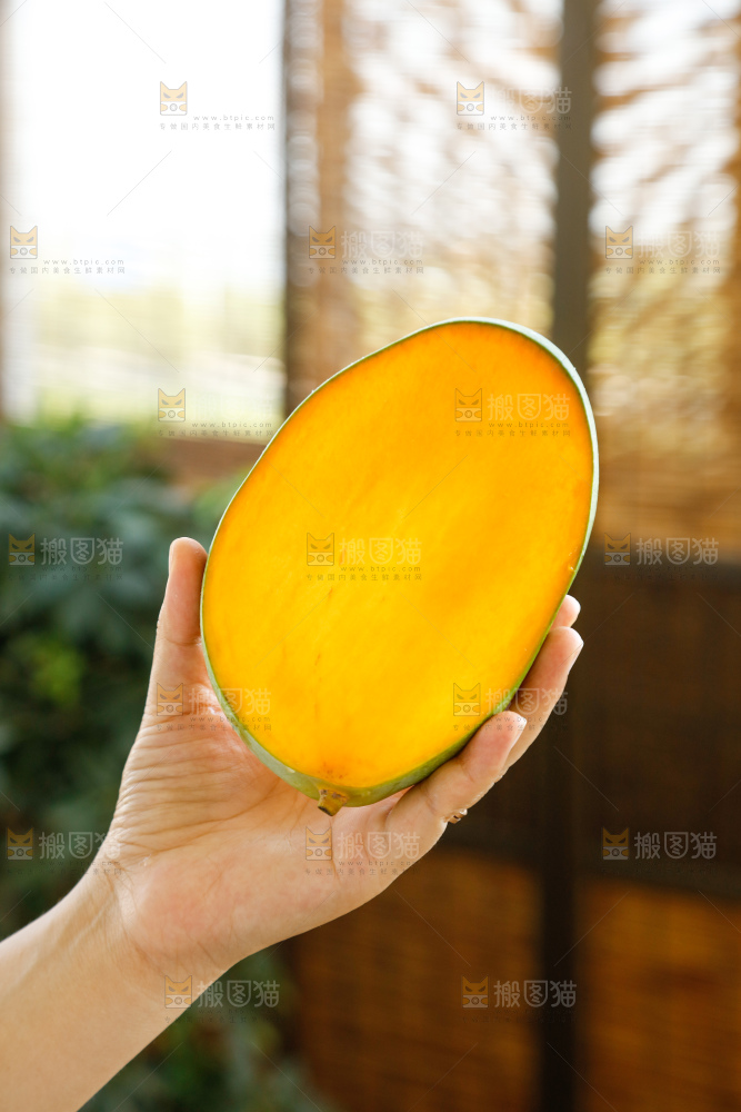 手里拿着凯特芒