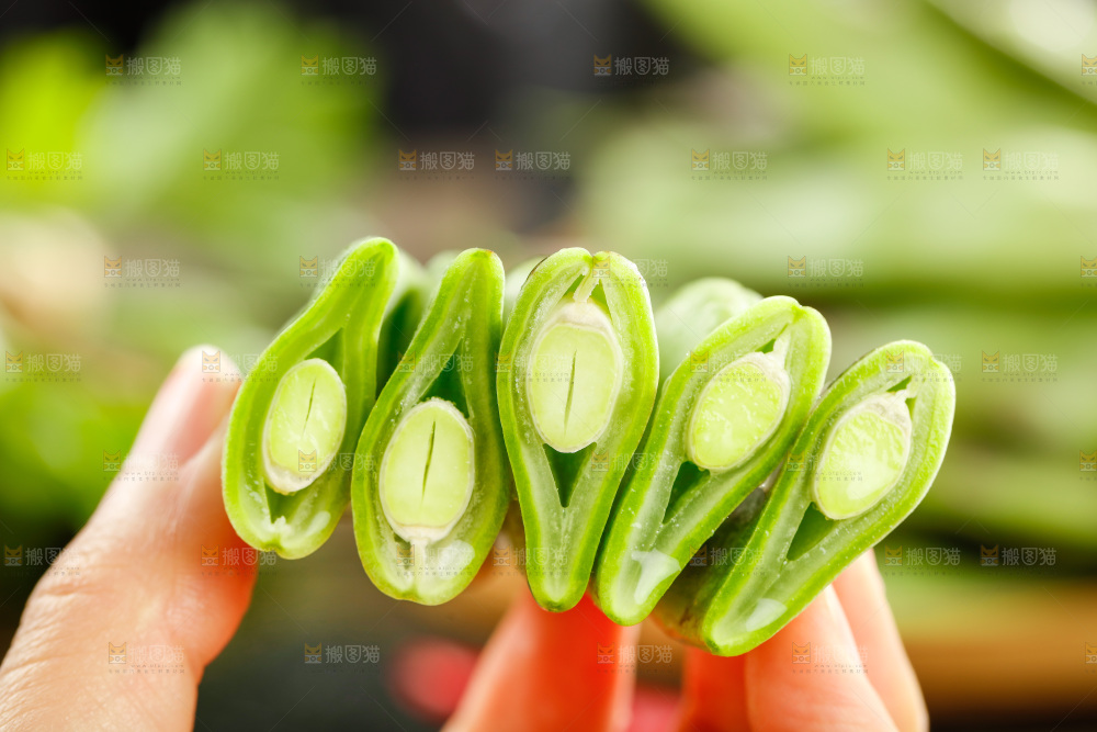 深底上的油豆角