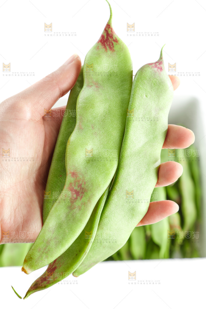 白底上的一点红油豆角