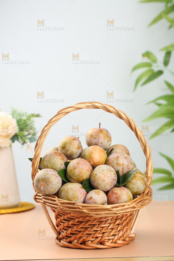 浅底上的芙蓉李