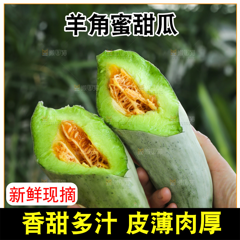 手里拿着羊角蜜甜瓜