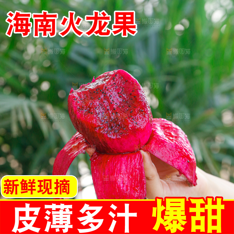 手里拿着红心火龙果