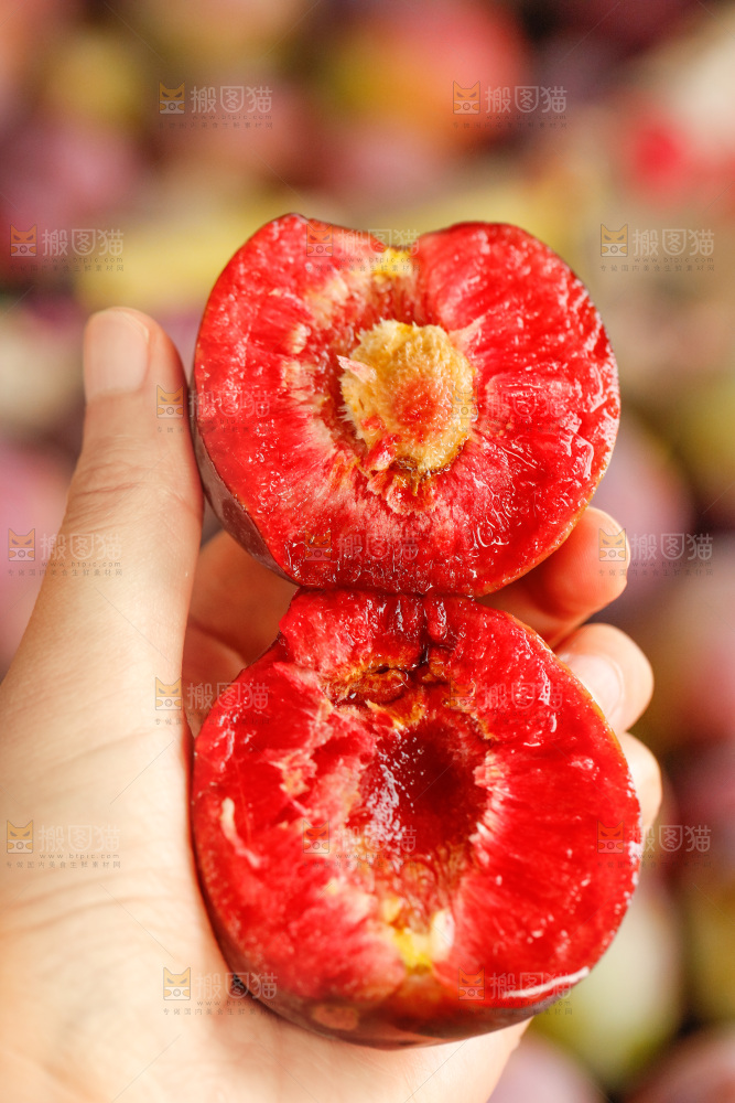 手里拿着芙蓉李