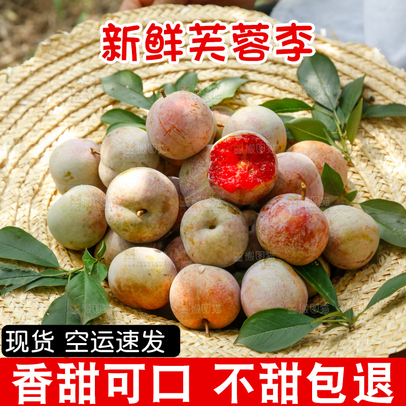 地上放着的现摘芙蓉李