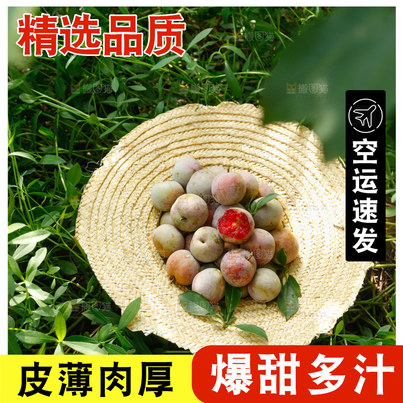 地上放着的现摘芙蓉李